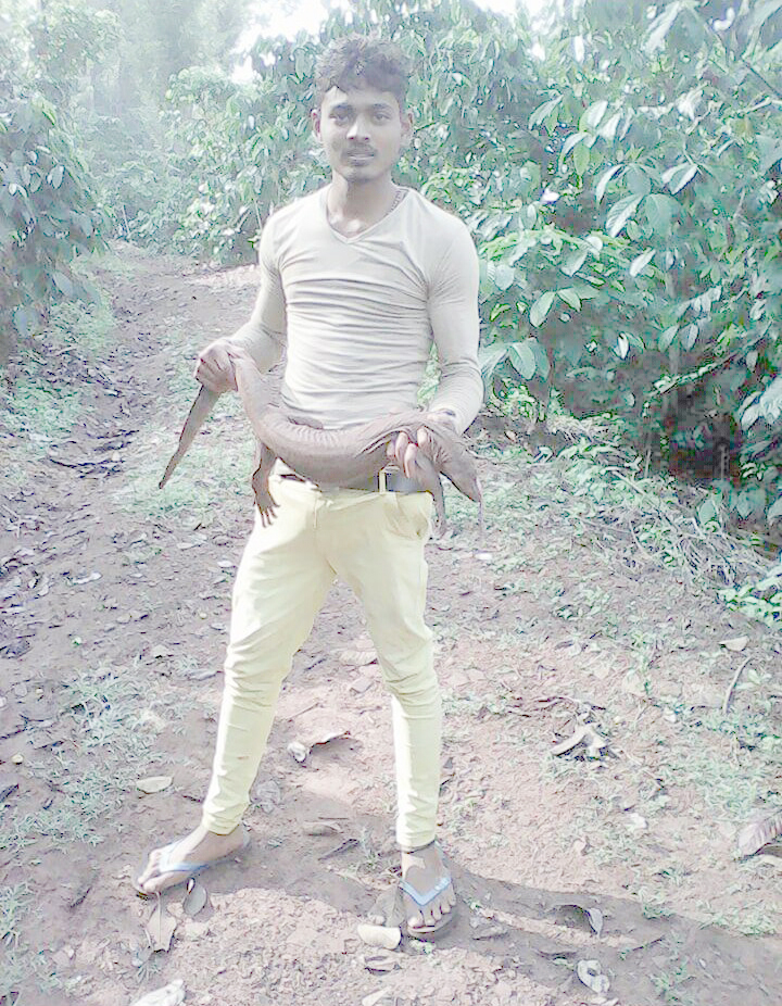 ಉಡ ಬೇಟೆಗಾರರ ಪತ್ತೆಗೆ ವ್ಯಾಪಕ ಶೋಧ